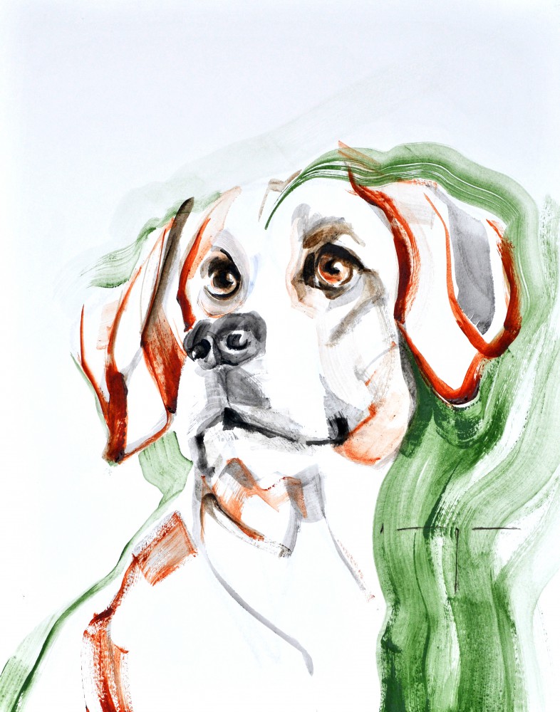 Kunstuitleen Kranenburgh Bergen | Dog A. | Acrylic on paper | 70x80 cm