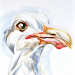 Seagull, portrait | acrylic on canvaspaper | 50x70 cm| Loris,Teguise Lanzarote ES