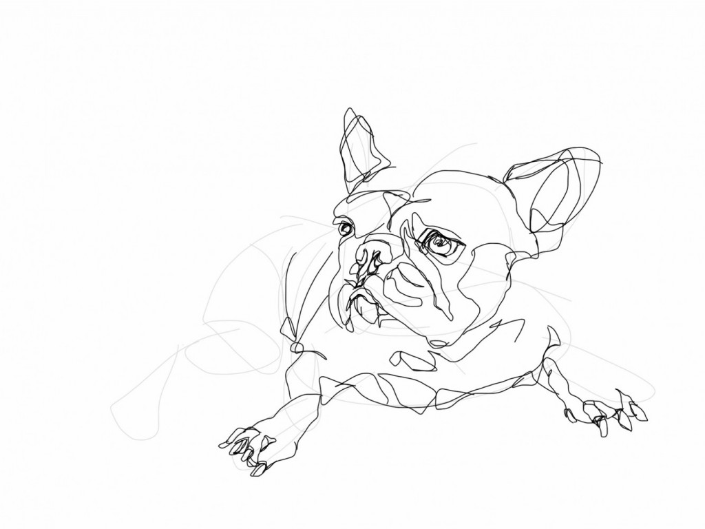 French Bulldog 02 | Digital drawing, print available A4