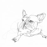 French Bulldog 02 | Digital drawing, print available A4