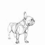 French Bulldog 04 | Digital drawing, print available A4