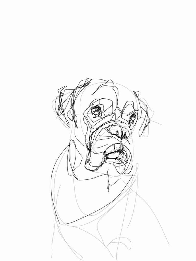 Boxer Dog | Digital drawing