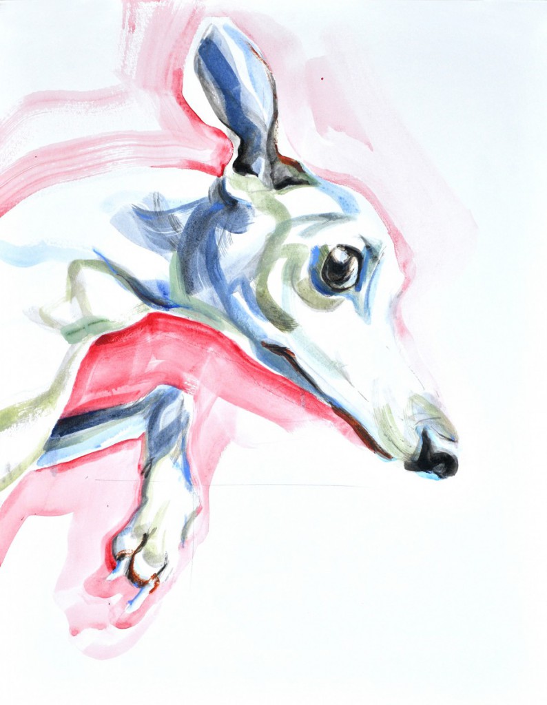 Jumping Dog | Acrylic on paper | 70x80 cm