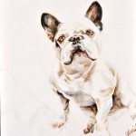 Tristan French Bulldog | acrylic on wooden panel 90x120cm | commission