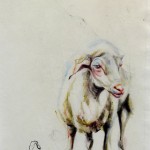 Sheep Oveja | painting on sail