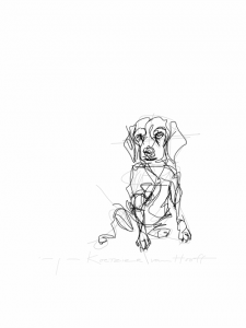 Sitting dog | digital drawing | prints available
