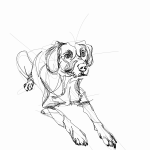 Dog Xamber| Digital drawing, print available A4