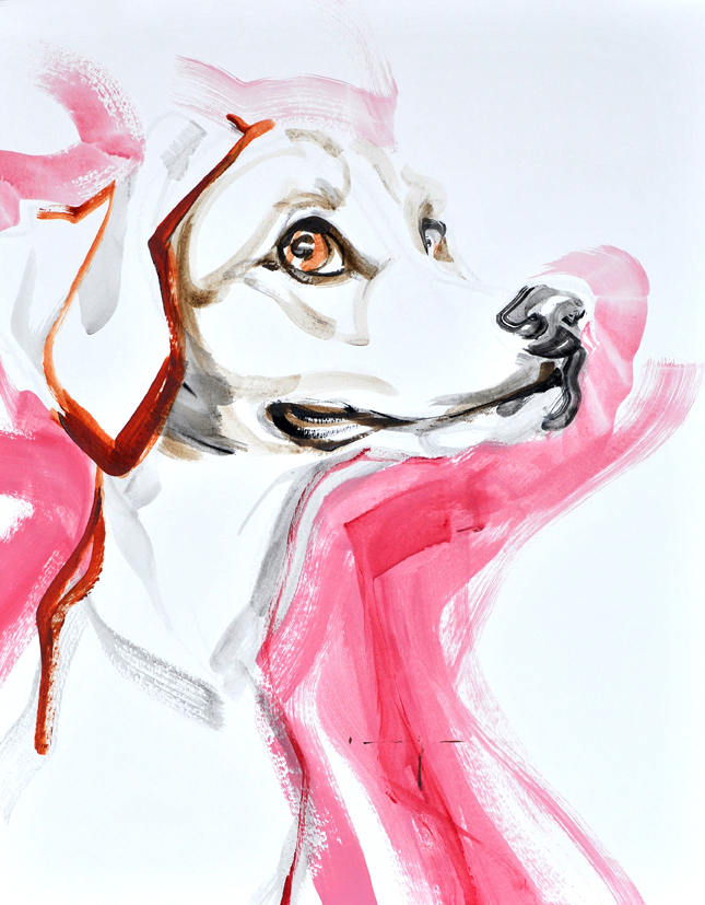 Dog in Pink | Acrylic on paper | 70x80 cm