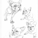 French Bulldogs | Digital drawing collage, print available A4 and A3