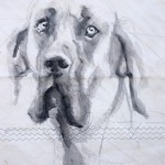 Dog on sail 03 |Acrylic on sailcloth | 50x70 cm