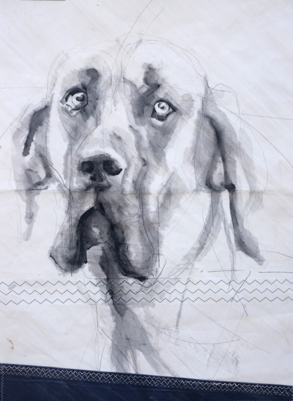 Dog on sail 03 |Acrylic on sailcloth | 50x70 cm