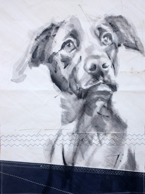 Dog on sail 04|Acrylic on sailcloth | 50x70 cm