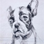 Gallery Culture of Yinbao Guangzhou Gallery China | French bulldog puppy |Acrylic on sailcloth | 50x70 cm