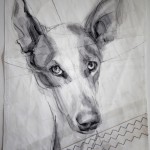 Portrait of Lucky Podenco Dog