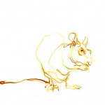 Yellow rat | Ink drawing on paper | A3