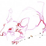 Red Mouse 01| Ink drawing on paper | A3 | SOLD