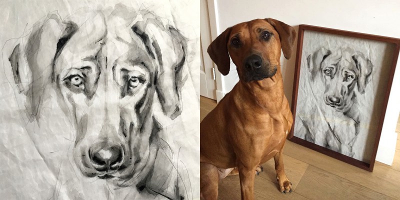 Portrait of Dog Kees | acrylic on sail | 50x70cm | portrait to commission