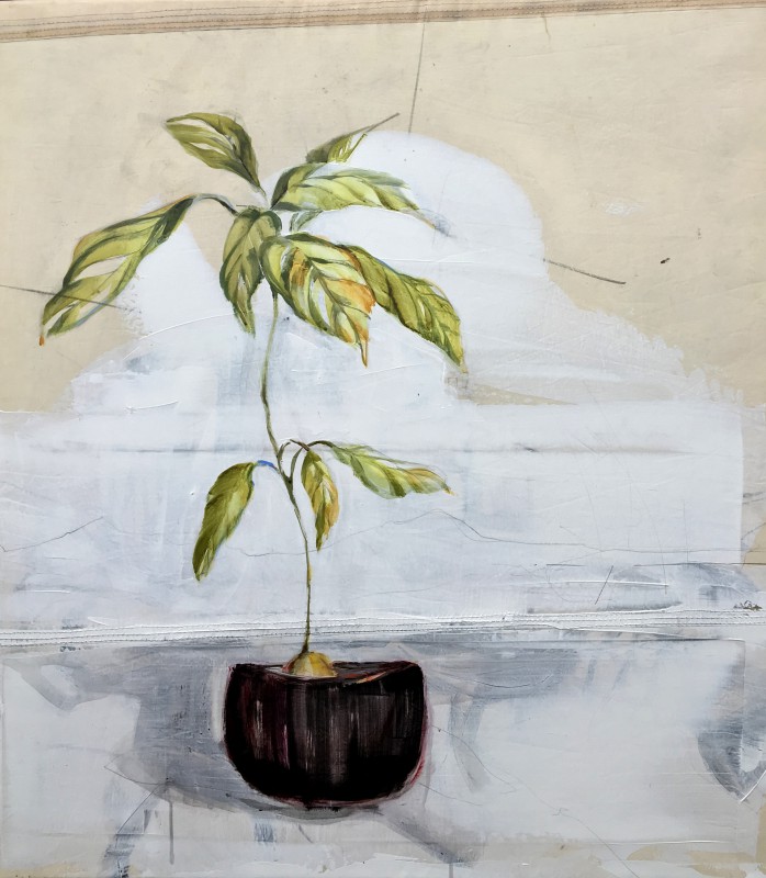 Avodaco plant in black pot | acrylic on sailcloth | 80x90 cm | 1250€