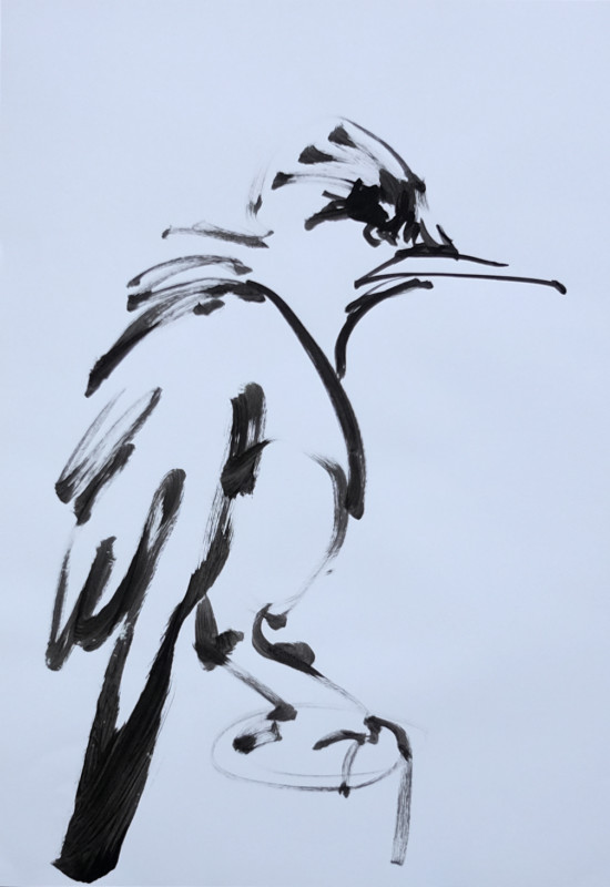 Sketch / study painting for Wallpaper Birds | acrylic on A3 paper - 07