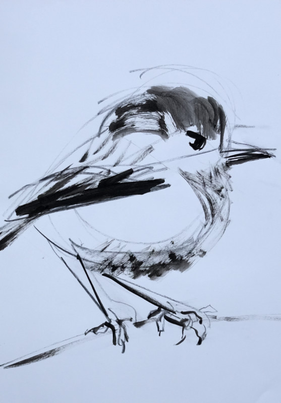 Sketch / study painting for Wallpaper Birds | acrylic on A3 paper - 06