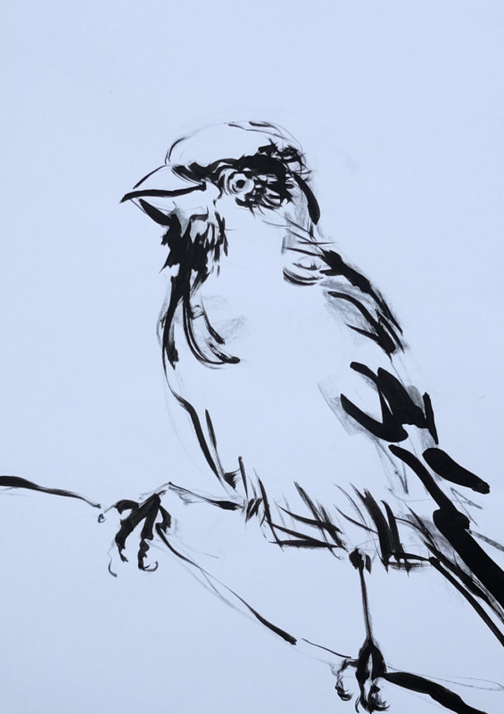 Sketch / study painting for Wallpaper Birds | acrylic on A3 paper - 05