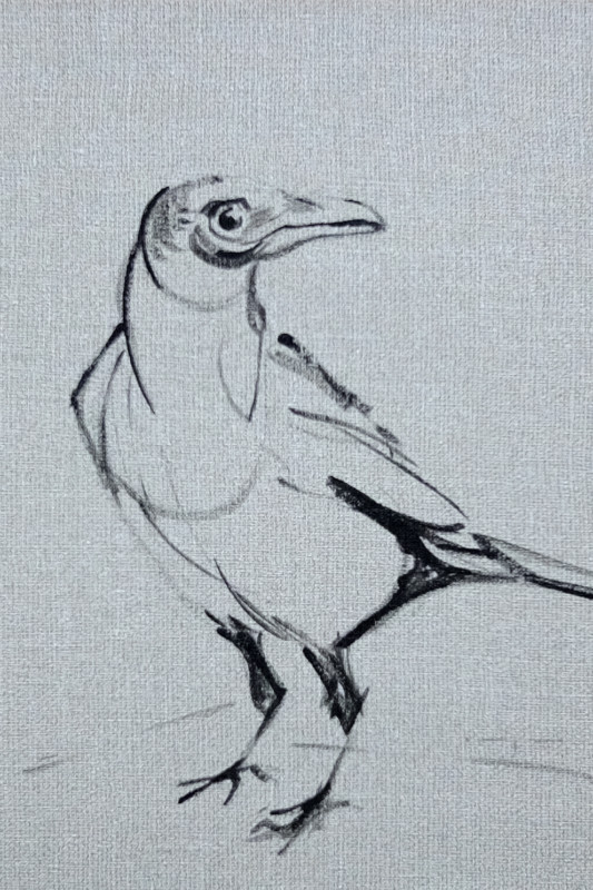 Wallpaper Birds - painting acrylic on wallpaper - 012