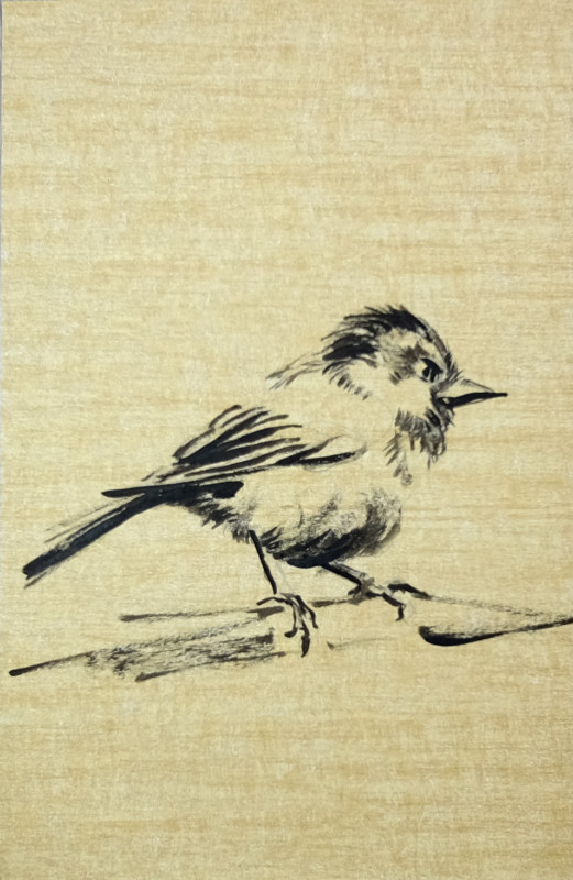 Wallpaper Birds - painting acrylic on wallpaper - 07