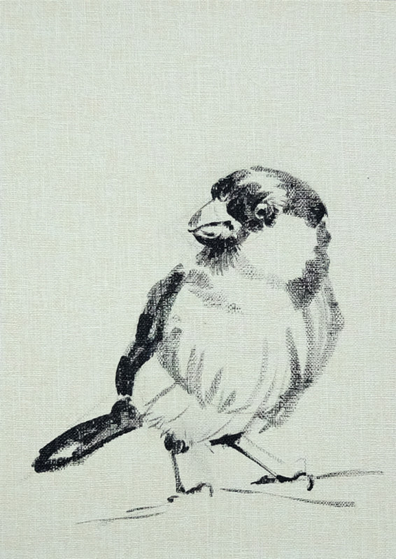 Wallpaper Birds - painting acrylic on wallpaper - 05