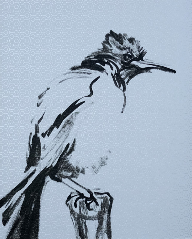 Wallpaper Birds | acrylic on wallpaper - 001