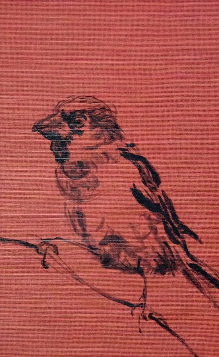 Koetzier van Hooff | Wallpaper Series | Bird