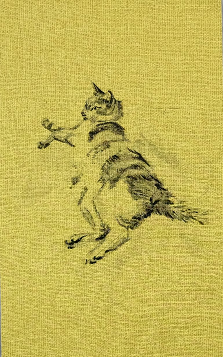 Koetzier van Hooff | Wallpaper Series | Cat