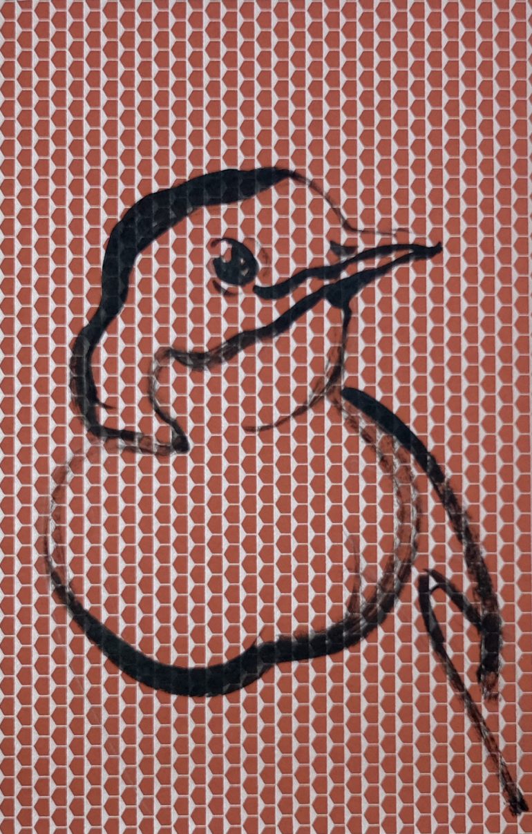 Koetzier van Hooff | Wallpaper Series | Bird Portrait