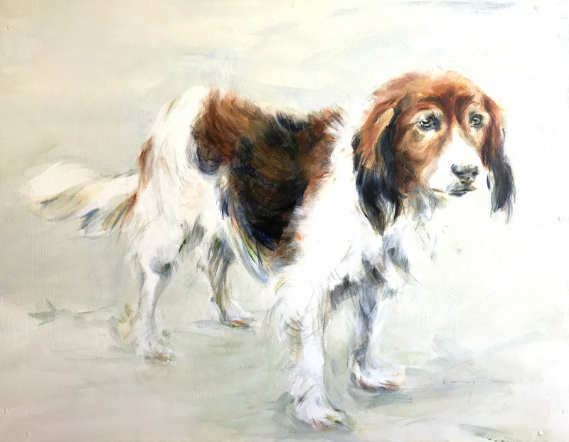 Toeka Koopmans Groet