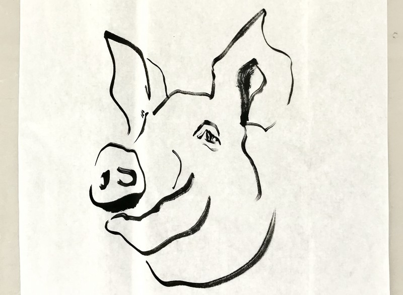 2019 Year of the Pig | ink on paper