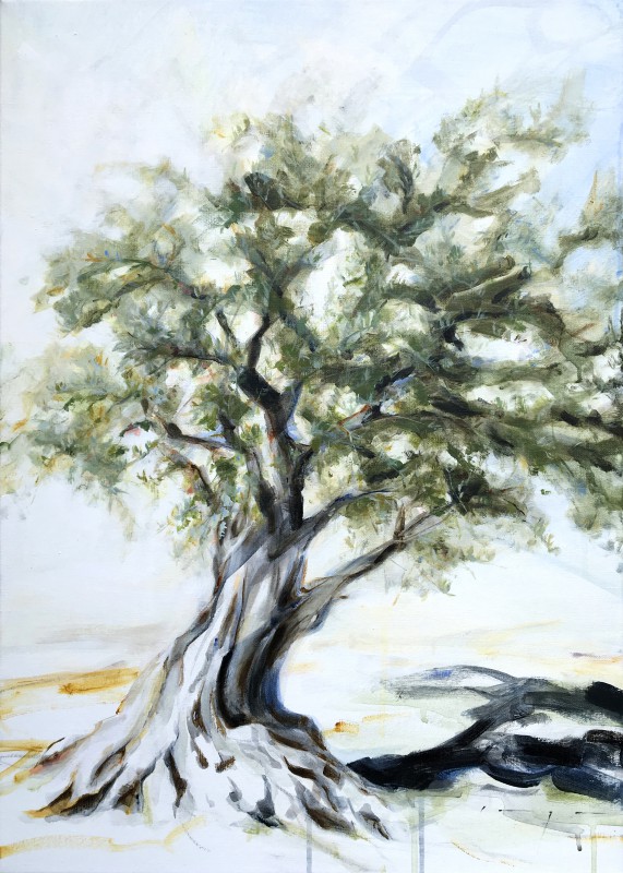 Olive Tree Spain | Árbol Oliva España | commission