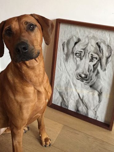 Portrait of Dog Kees | acrylic on sail | 50x70cm | portrait to commission