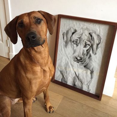 Portrait of Dog Kees | acrylic on sail | 50x70cm | portrait to commission