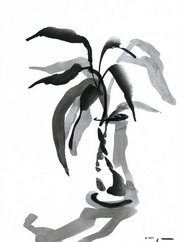 Lucky Bamboo 2 | Ink on Paper