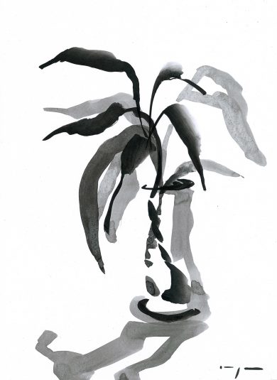 Lucky Bamboo 2 | Ink on Paper