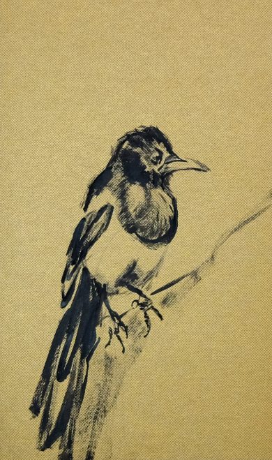 Bird | Wallpaper Series