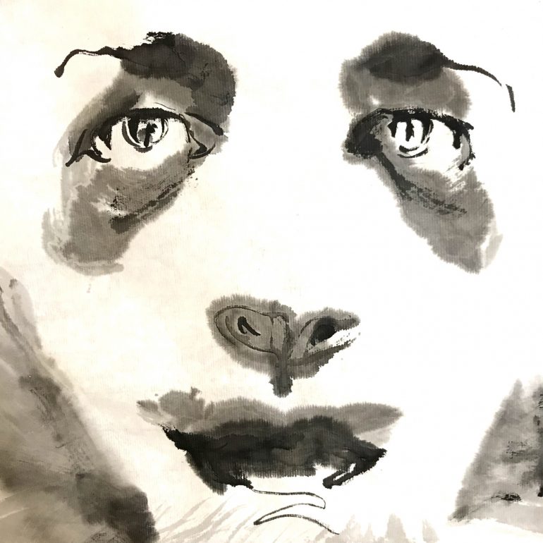 Ink Human Animal Portraits