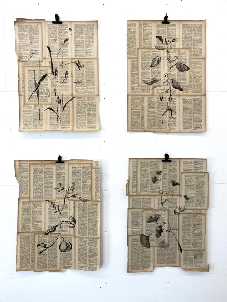 Ginko Biloba | Plant on Paper in Ink - Image 5