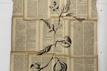 Drawing ink on paper bookpage nutmeg