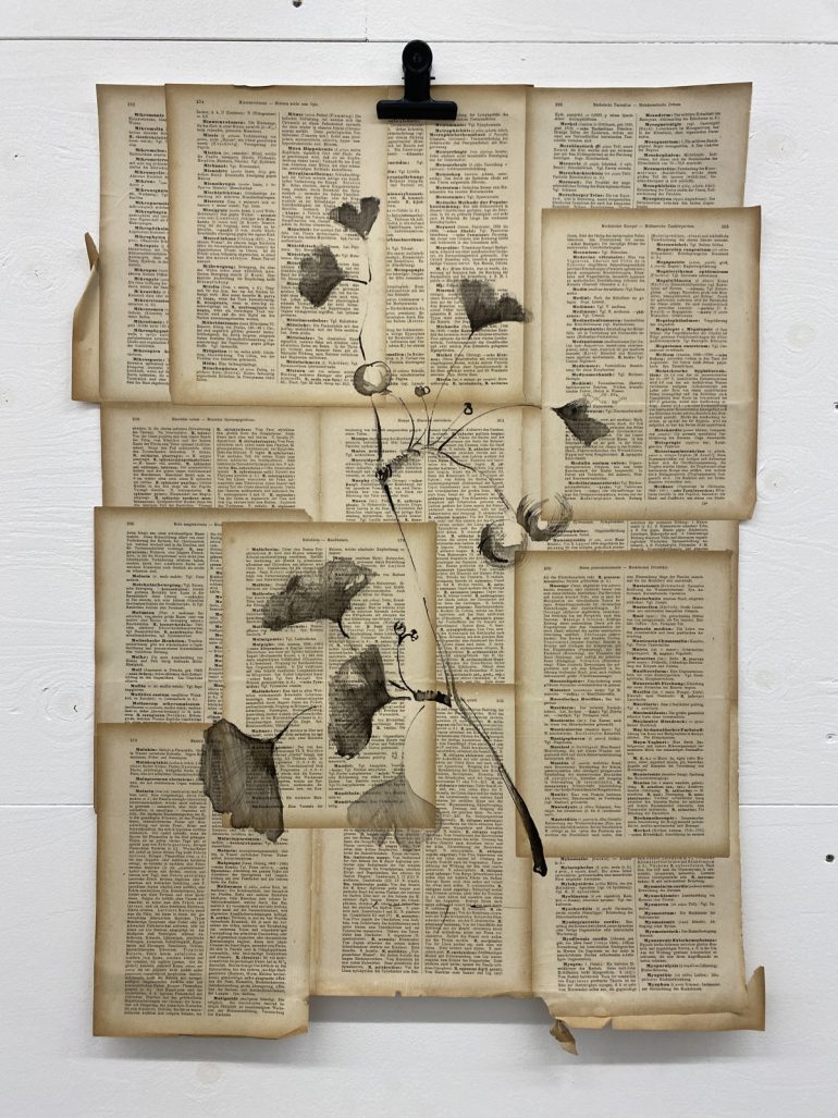 Ginko Biloba | Plant on Paper in Ink