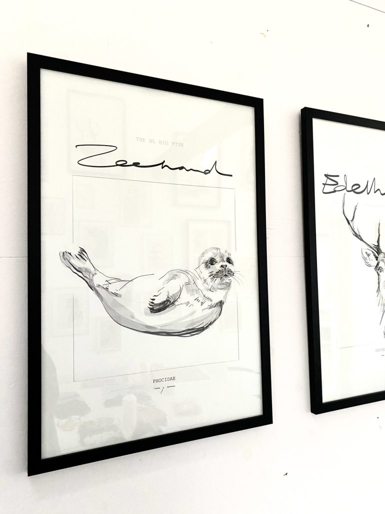 Seal | Zeehond | Phocidae | Digital Drawing | Poster | Art Print - Image 3