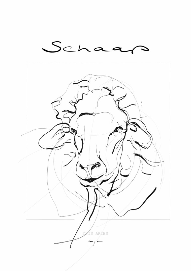 Portrait of a Sheep | Schaap | Digital Drawing | Art Print | Poster - Image 2