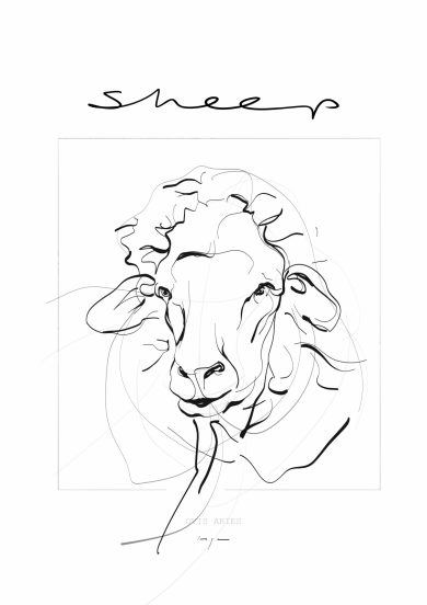 Portrait of a Sheep | Schaap | Digital Drawing | Art Print | Poster