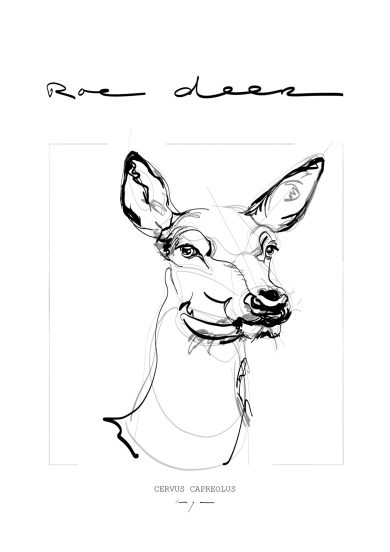 Roe Deer | Ree | Digital Drawing | Poster | Art Print