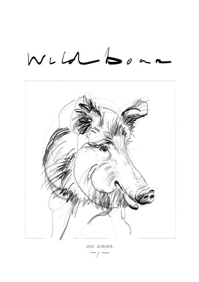 Wild Boar | Wild Zwijn | Sus Scrofa | Digital Drawing | Poster | Art Print