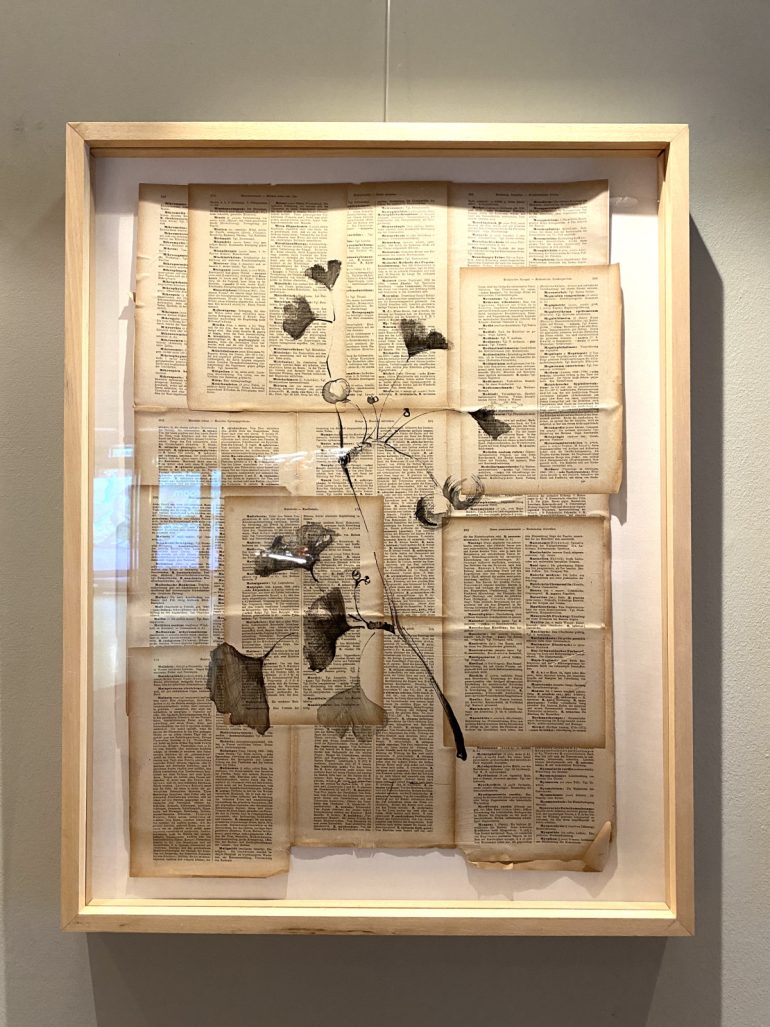 Ginko Biloba | Plant on Paper in Ink - Image 3